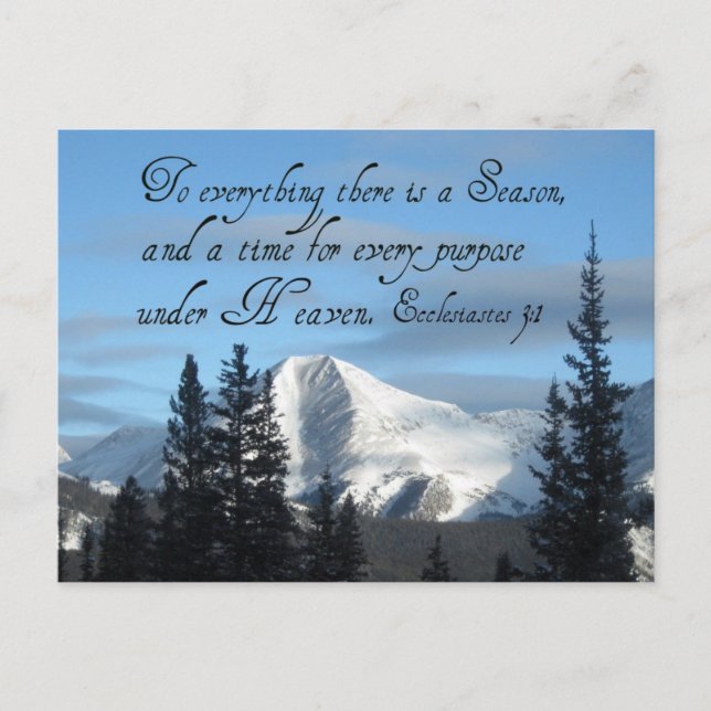 Ecclesiastes 3:1 postcard (Front)