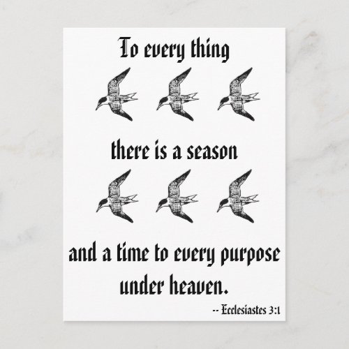 Ecclesiastes 31 postcard