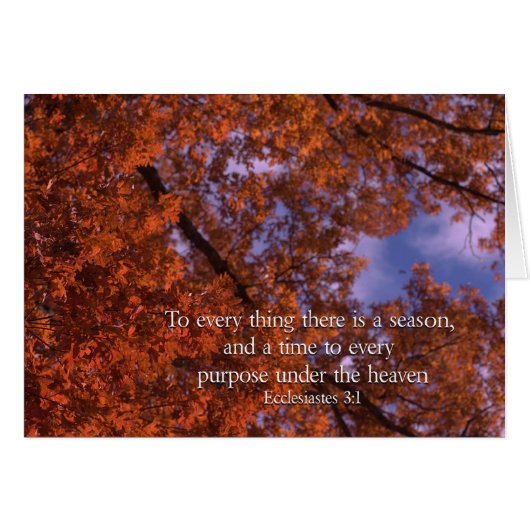 Ecclesiastes 3:1 To every thing there is a season (Front Horizontal)