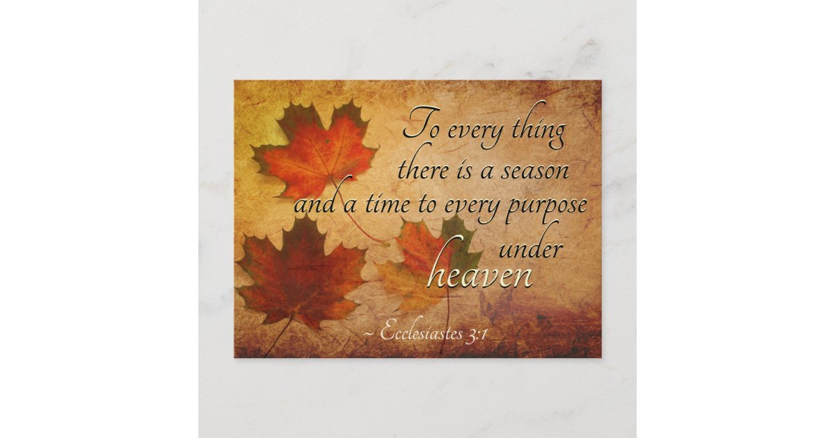 Ecclesiastes 3:1 To everything there is a season, Postcard | Zazzle