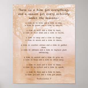 Ecclesiastes 3 Bible Verse Poster