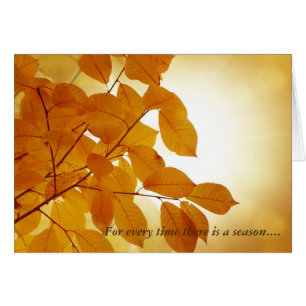 Ecclesiastes 3 Season Comforting Cards