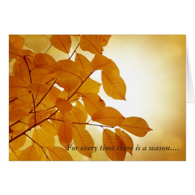 Ecclesiastes 3 Season Comforting Cards (Front Horizontal)