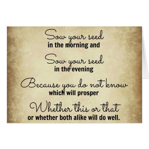 Ecclesiastes Bible verse sow your seed