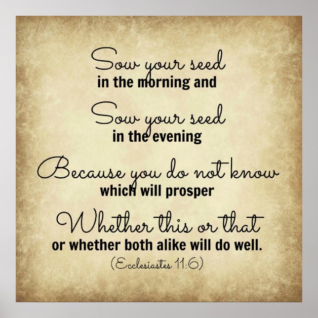 Ecclesiastes Bible verse sow your seed Poster (Front)