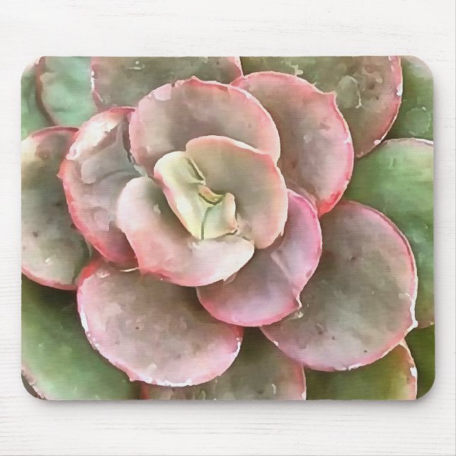 Echeveria Cactus Succulent Acrylic Painting Mouse Pad (Front)