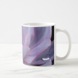 Echeveria 'Perle von Nurnberg' mug