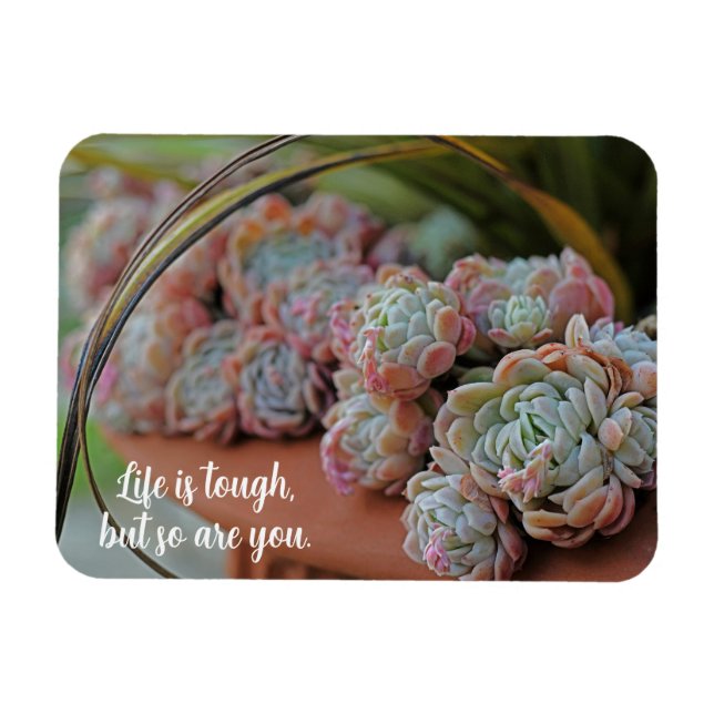 Echeveria Rose Succulent Life is Tough Magnet (Horizontal)