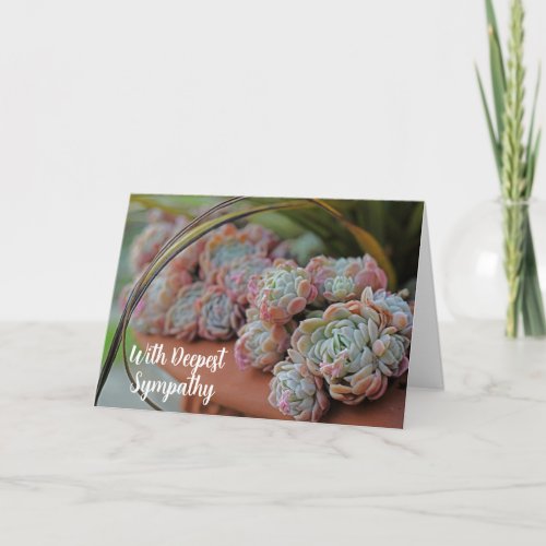 Echeveria Rose Succulent With Deepest Sympathy Card