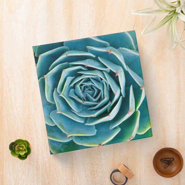Echeveria Rosette, Secret Garden of Marrakech 3 Ring Binder (In Situ)