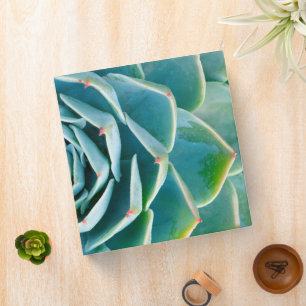 Echeveria Rosette, Secret Garden of Marrakech 3 Ring Binder