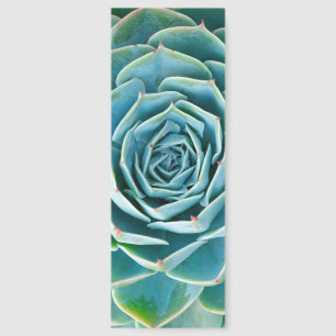 Echeveria Rosette, Secret Garden of Marrakech Bookmarks