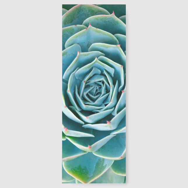 Echeveria Rosette, Secret Garden of Marrakech Bookmarks (Front)