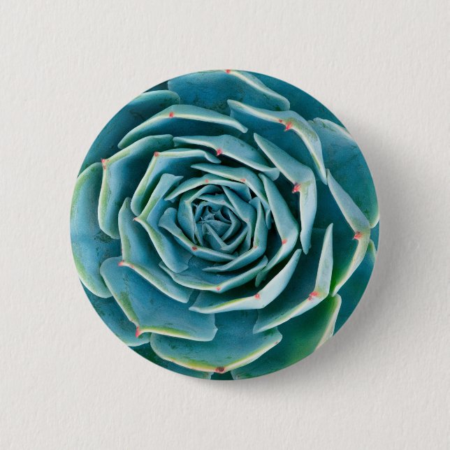 Echeveria Rosette, Secret Garden of Marrakech Button (Front)