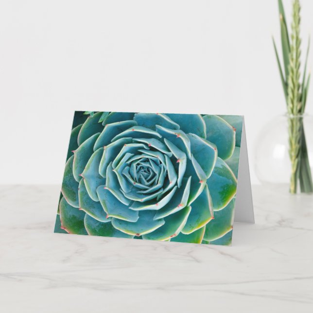 Echeveria Rosette, Secret Garden of Marrakech Card (Front)