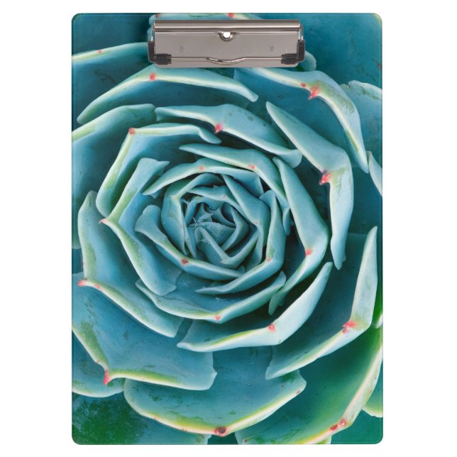 Echeveria Rosette, Secret Garden of Marrakech Clipboard (Front)