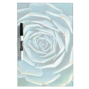 Echeveria Rosette, Secret Garden of Marrakech Dry Erase Board