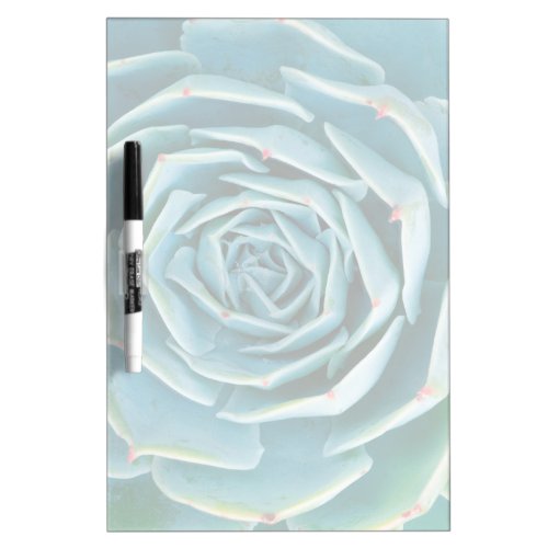 Echeveria Rosette, Secret Garden of Marrakech Dry Erase Board