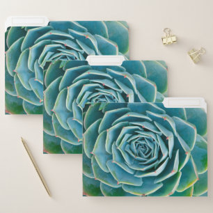 Echeveria Rosette, Secret Garden of Marrakech File Folder
