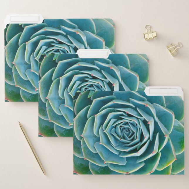 Echeveria Rosette, Secret Garden of Marrakech File Folder (Set)