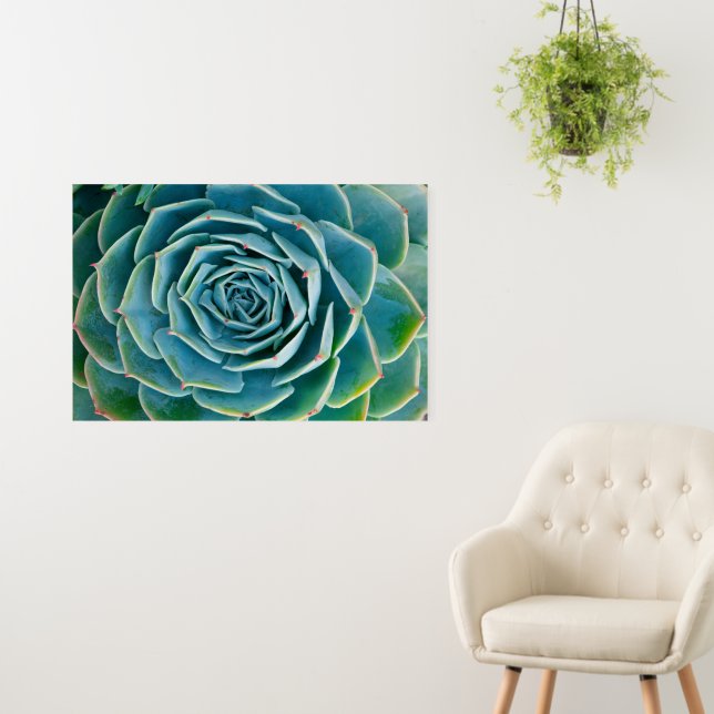 Echeveria Rosette, Secret Garden of Marrakech Foam Board (In Situ (Wall))