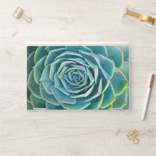 Echeveria Rosette, Secret Garden of Marrakech HP Laptop Skin
