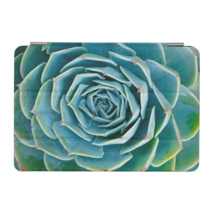 Echeveria Rosette, Secret Garden of Marrakech iPad Mini Cover