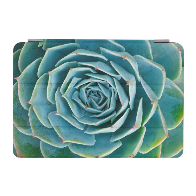 Echeveria Rosette, Secret Garden of Marrakech iPad Mini Cover (Horizontal)