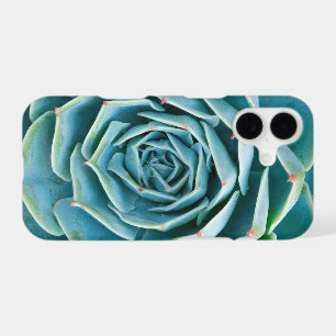 Echeveria Rosette, Secret Garden of Marrakech iPhone 17 Case