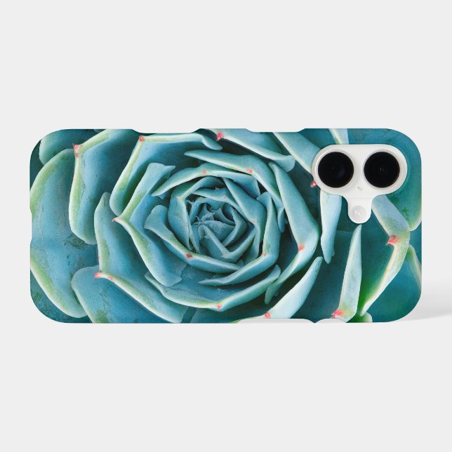 Echeveria Rosette, Secret Garden of Marrakech iPhone Case (Back Horizontal)