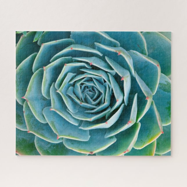 Echeveria Rosette, Secret Garden of Marrakech Jigsaw Puzzle (Horizontal)