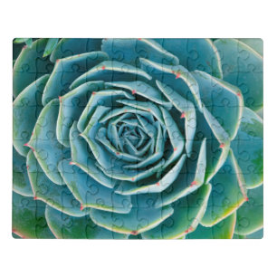 Echeveria Rosette, Secret Garden of Marrakech Jigsaw Puzzle