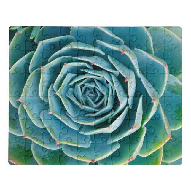 Echeveria Rosette, Secret Garden of Marrakech Jigsaw Puzzle (Puzzle Horizontal)