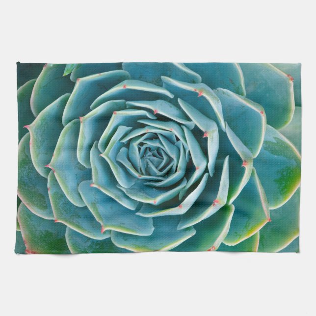 Echeveria Rosette, Secret Garden of Marrakech Kitchen Towel (Horizontal)