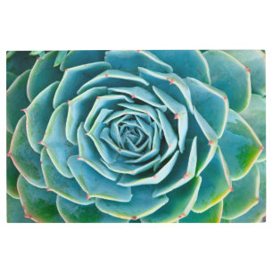 Echeveria Rosette, Secret Garden of Marrakech Metal Print