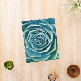 Echeveria Rosette, Secret Garden of Marrakech Mini Binder