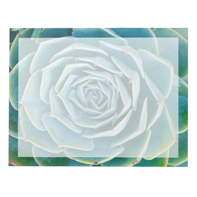 Echeveria Rosette, Secret Garden of Marrakech Notepad (Front)