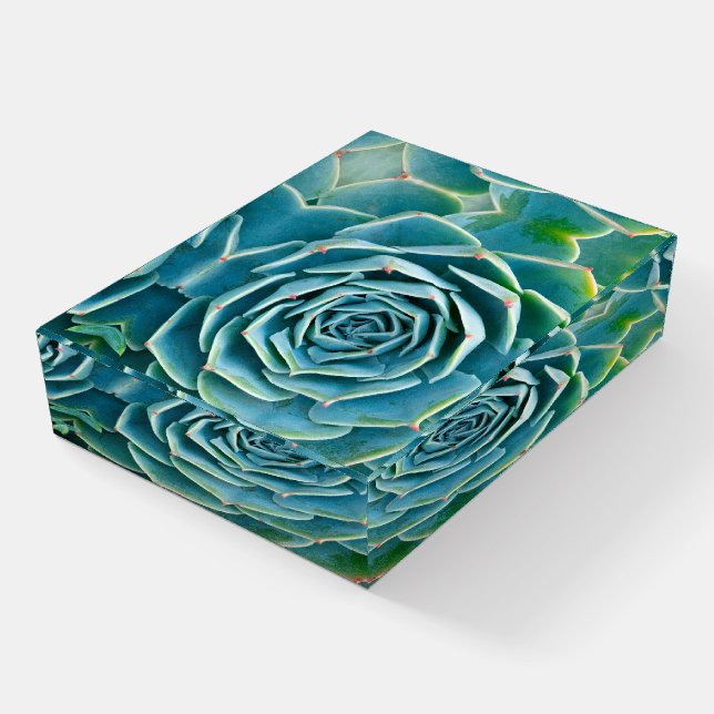 Echeveria Rosette, Secret Garden of Marrakech Paperweight (Angled)