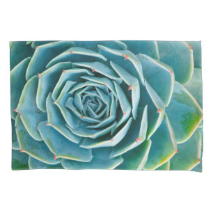 Echeveria Rosette, Secret Garden of Marrakech Pillow Case