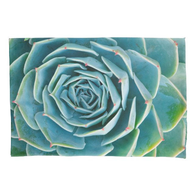 Echeveria Rosette, Secret Garden of Marrakech Pillow Case (Front)