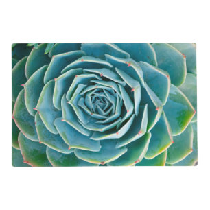 Echeveria Rosette, Secret Garden of Marrakech Placemat