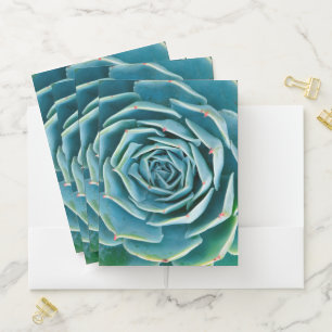 Echeveria Rosette, Secret Garden of Marrakech Pocket Folder
