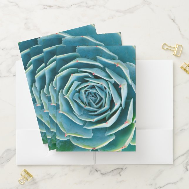 Echeveria Rosette, Secret Garden of Marrakech Pocket Folder (In Situ)