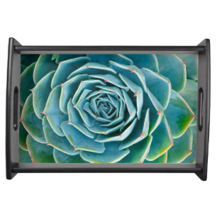 Echeveria Rosette, Secret Garden of Marrakech Serving Tray