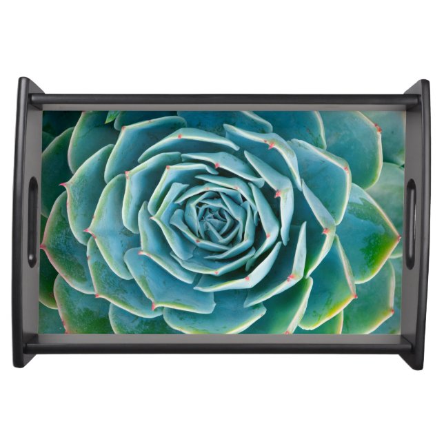 Echeveria Rosette, Secret Garden of Marrakech Serving Tray (Front)