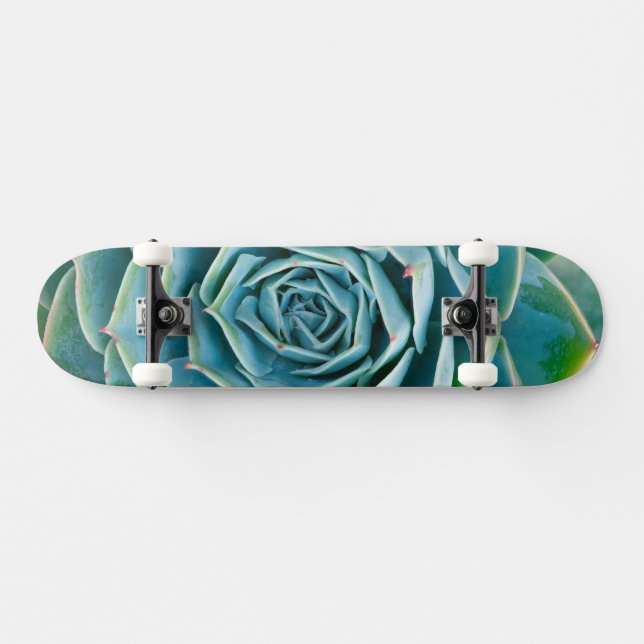 Echeveria Rosette, Secret Garden of Marrakech Skateboard (Horz)