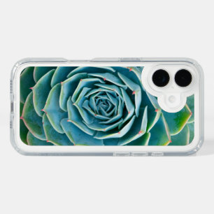 Echeveria Rosette, Secret Garden of Marrakech iPhone 16 Case