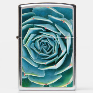 Echeveria Rosette, Secret Garden of Marrakech Zippo Lighter