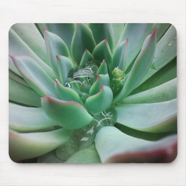 Echeveria 'Tippy' Mouse Pad (Front)