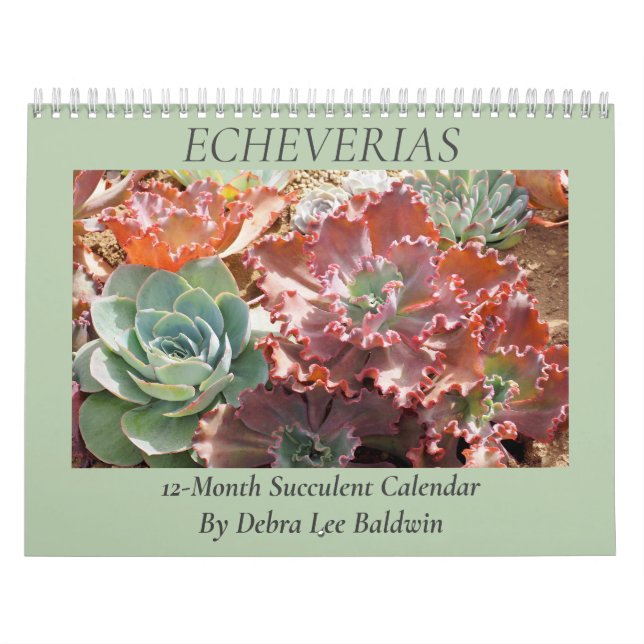 Echeverias: Succulents by Debra Lee Baldwin Calendar (Cover)